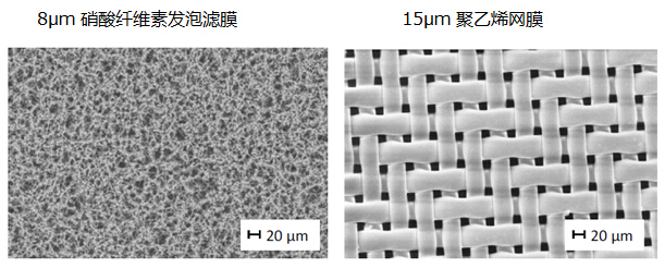 image011.jpg 發泡濾膜和網膜的結構對比